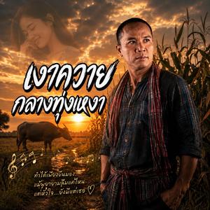 เงาควายกลางทุ่งเหงา, เสียงแคนใต้ฟ้าหม่น, แสงไฟท้ายหมู่บ้าน, กลิ่นควันไฟจากครัวบ้านนา, ตะเกียงน้ำมันในคืนลมหนาว