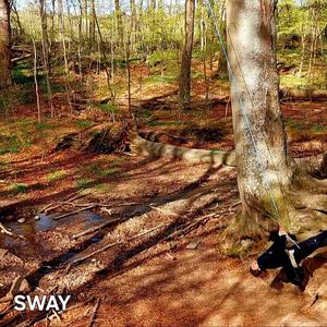 Sway
