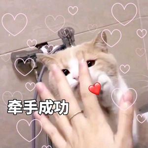 脆弱星球 少女ver.（翻自 杨胖雨）
