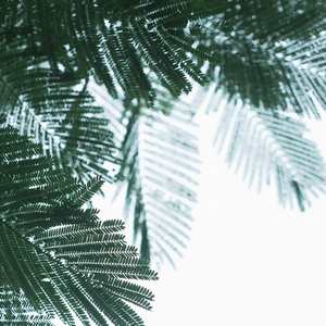 安静学习之舒适的夜晚 (铃铛版)