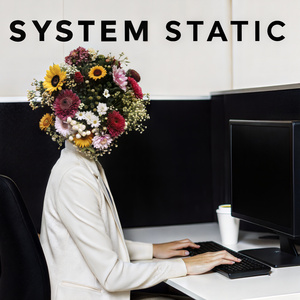 System Static