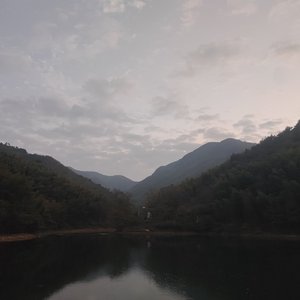 哑声的潮汐