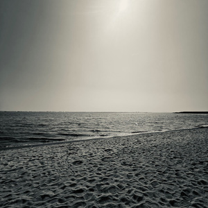 垂柳 (Prod.RAY&Kai)