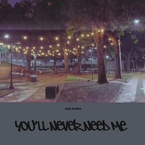 You'll Never Need Me