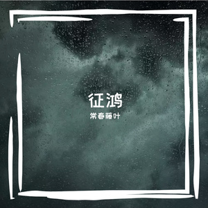 征鸿
