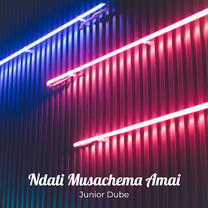 Zvemucheno Zvakatanga Nabigman