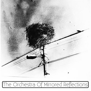 All That Jazz, That Makes Her Spin