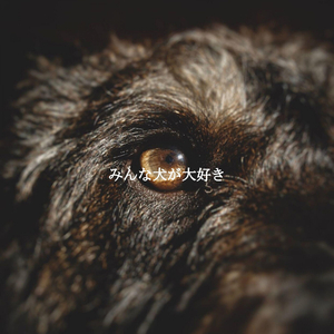 Happy Coffee Time After Dinner