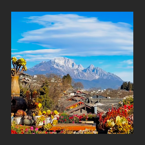 "南风"民族风&葫芦丝 Type Beat