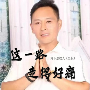 这一路走得好痛 (DJ默涵男版)