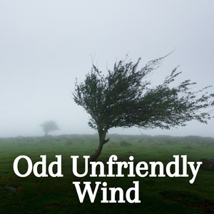 Windfinder