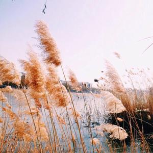 喀秋莎（翻自 Лидия Русланова）