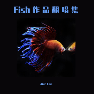 情歌 弹唱（翻自 梁静茹）