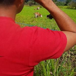 Que seas feliz sheguito baby y los románticos de la selva