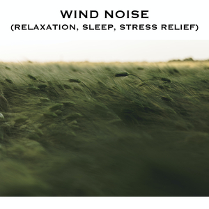 Sound of Wind Sounds - Loopable with No Fade