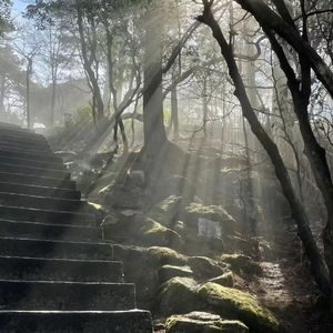 “山林” 中国风 Gunna & Mac Ova Seas Type Beat