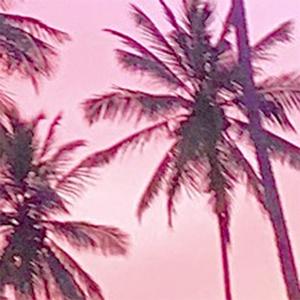 ╯︵Galle ගාල්ල