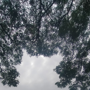 Gondrang Karo Paling Enak