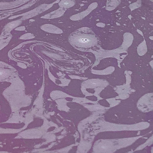 Elevator Intermission