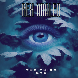 The Third Eye