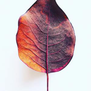 "Electric Dreamscape"