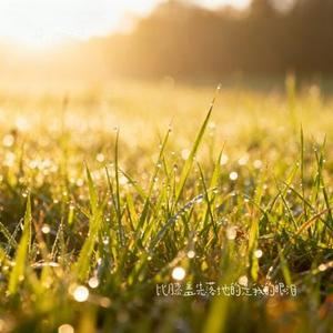 比膝盖先落地的是我的眼泪 (Cover 早晚晚)