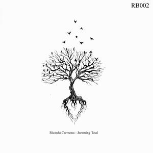 Groove Tool (Original Mix)