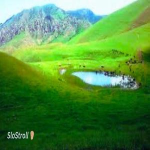 SloStroll
