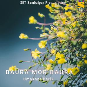 Baura Mor Baura