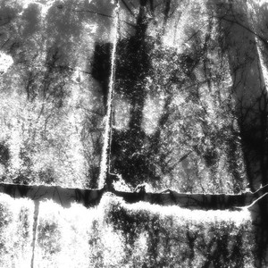 торжественное отрицание