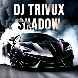 DJ TRIVUX (SHADOW) (feat. TRIFUNOX)