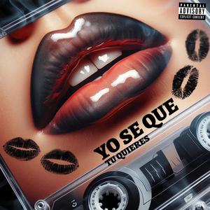 YO SE QUE TU QUIERES (feat. Fujitivo The Yomimo & 2BLE FILO)