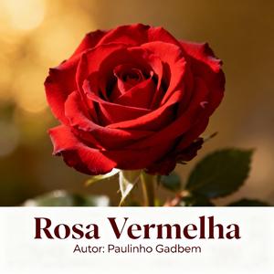 Rosa Vermelha