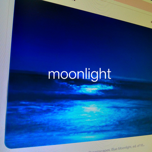 moonlight (youngboyluv)