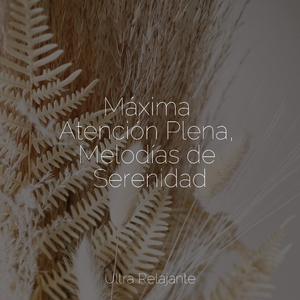 Calles Empedradas
