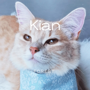 Kian
