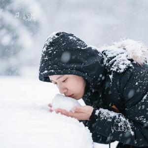 认真的雪 (Cover 薛之谦)