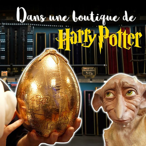 Seule dans une boutique Harry Potter Pt.3