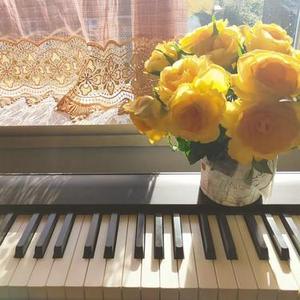 天鹅湖组曲, Op. 20a, 天鹅湖主题二 陈爱琳为钢琴改编