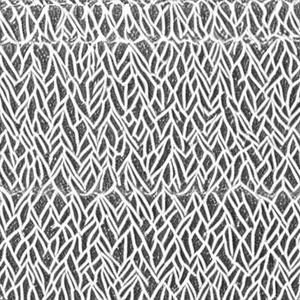 คนที่ไม่เข้าตา (Cover)