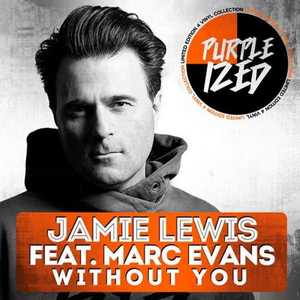 Without You (Jamie Lewis Master Mix)