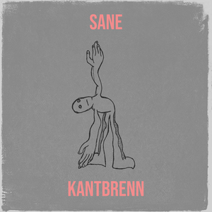 Sane