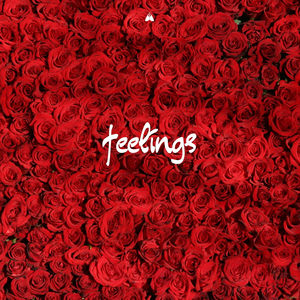 Feelings