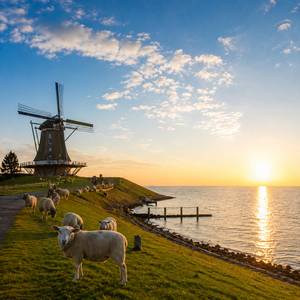 Friesenlied (Wo Die Nordseewellen)