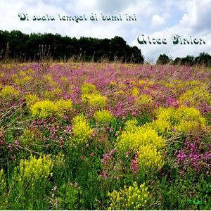 Di suata tempat di bumi ini