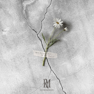 We'd Rather Hit by the Walls