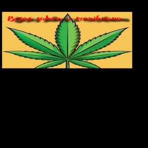 Besos sabor a marihuana (feat. Fatermurderinc)