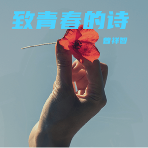 致青春的诗