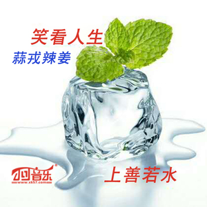 再见亦是泪（演唱：蒜戎辣姜）