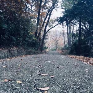 米津玄师-iuv05-9yd8a（jiafei remix）